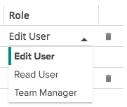 team manager role