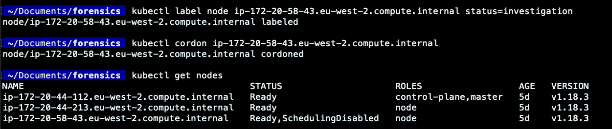 Practical Guide for Kubernetes DFIR: Label and cordoned Pod affected