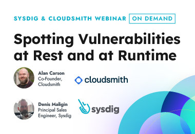 Spotting Vulnerabilities at Rest and at Runtime
