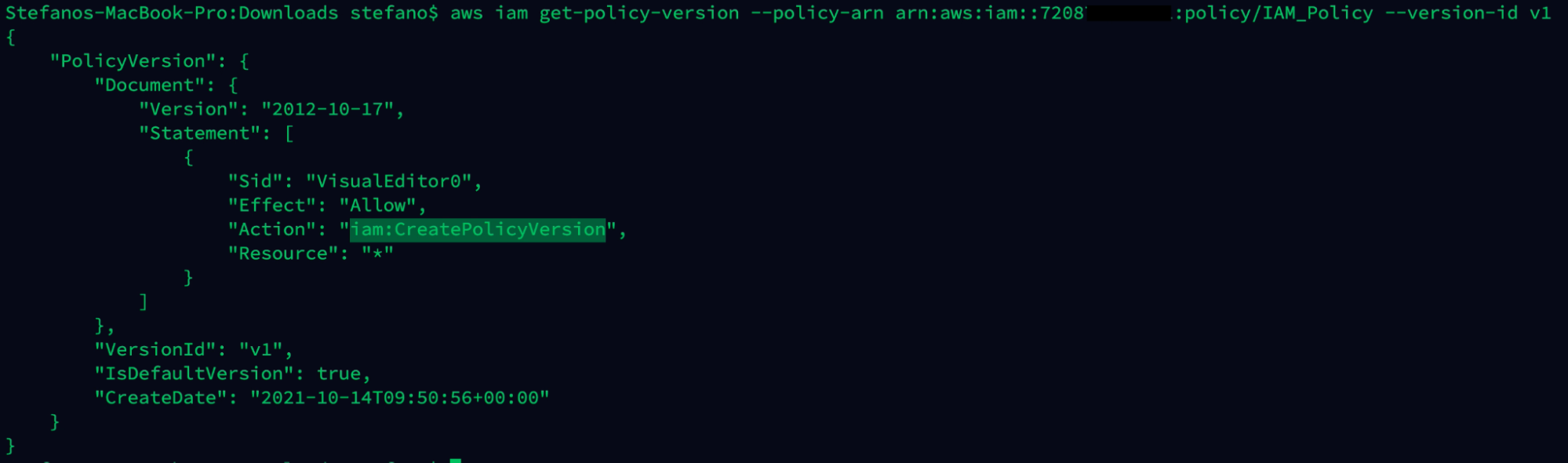Output AWS command get policy version