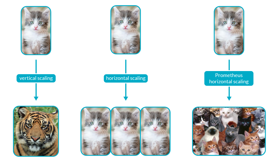 Vertical scanning, horizontal scanning and Prometheus at scale explained with cats
