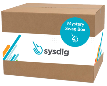 Sysdig Mystery Swag Box