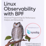 Linux Observability with BPF