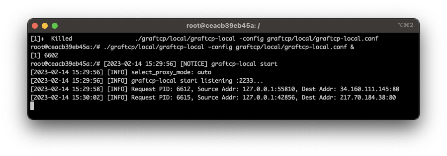 Bypassing Network Detection with Graftcp
