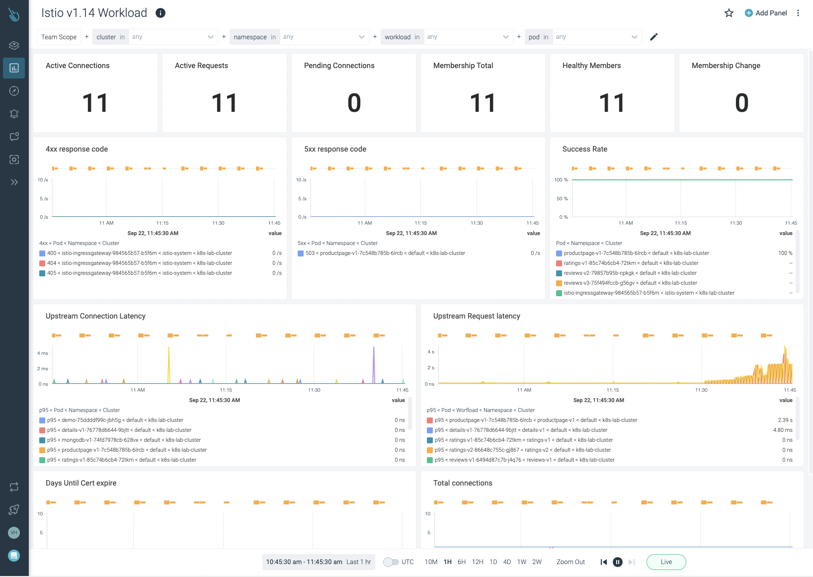 The Istio Workload dashboard provides a collection of graphs designed to easily spot the amount of connections in your Istio service mesh.