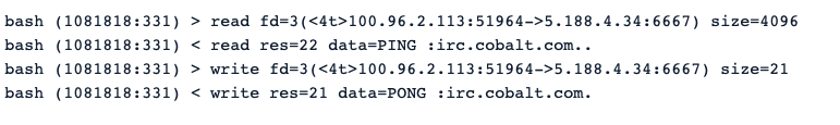 Malware Analysis Hands On Shellbot Malware Sysdig